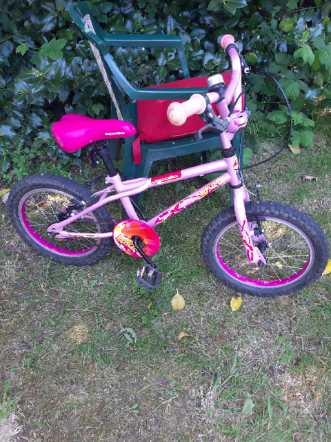 gumtree girls bike
